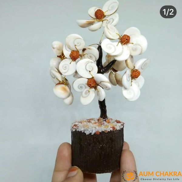 Natural Gomti chakra Tree